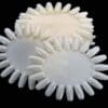 Natural Wheel Sample 10pcs/bag