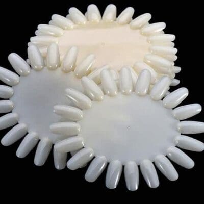 Natural Wheel Sample 10pcs/bag