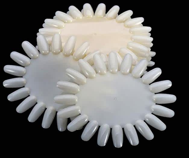 Natural Wheel Sample 10pcs/bag