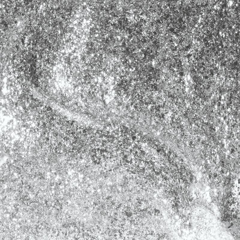 A black and white photo featuring apres Gel Color Glitter 0.5z.